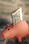 Savings, IRA, 401K and Bonuses